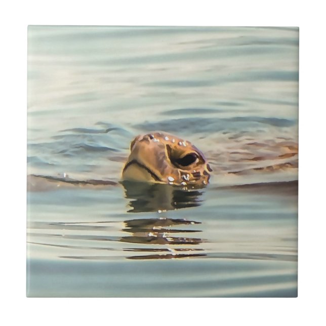 Head Above Water Turtle Ocean Wildlife Art Tile (Front)