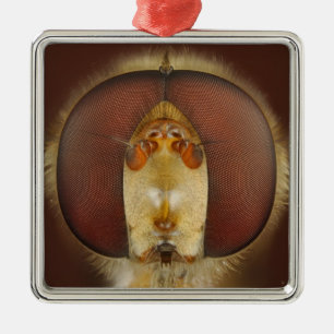Head and Compound Eyes of a Hover Fly Metal Tree Decoration