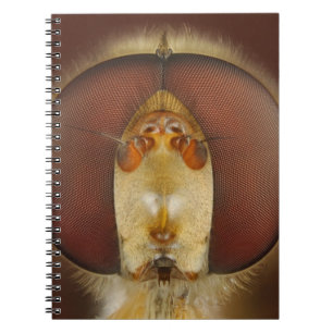 Head and Compound Eyes of a Hover Fly Spiral Notebook