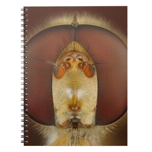 Head and Compound Eyes of a Hover Fly Spiral Notebook (Front)