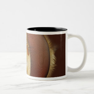 Head and Compound Eyes of a Hover Fly Two-Tone Coffee Mug