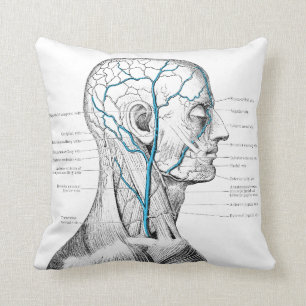 Head and veins - anatomy cushion