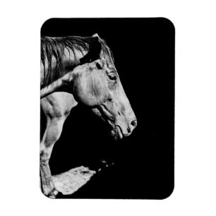 head horse's leg magnet
