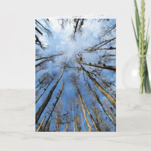 Head in the Clouds Card