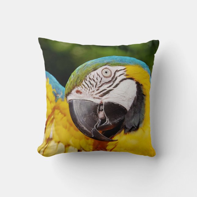 Head of a Blue and Yellow Macaw  Cushion (Front)