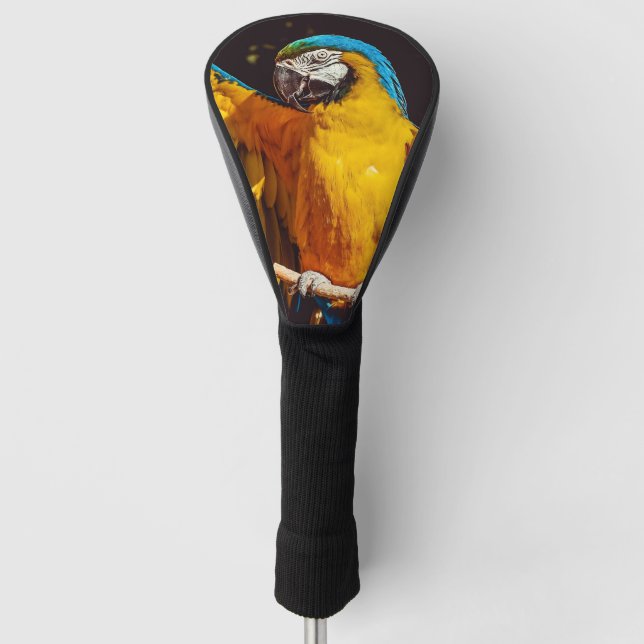 Head of a Blue and Yellow Macaw  Golf Head Cover (Front)