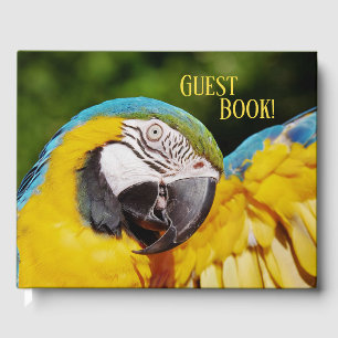 Head of a Blue and Yellow Macaw Guest Book
