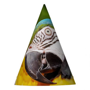 Head of a Blue and Yellow Macaw Party Hat