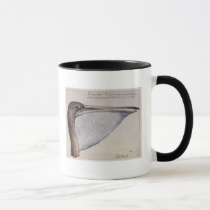 Head of a Brown Pelican Mug