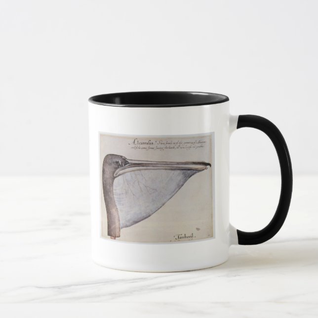 Head of a Brown Pelican Mug (Right)