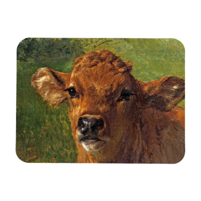 Head of a Calf (by Rosa Bonheur) Magnet (Horizontal)