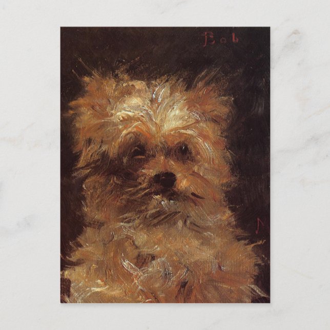 Head of a Dog by Edouard Manet Postcard (Front)