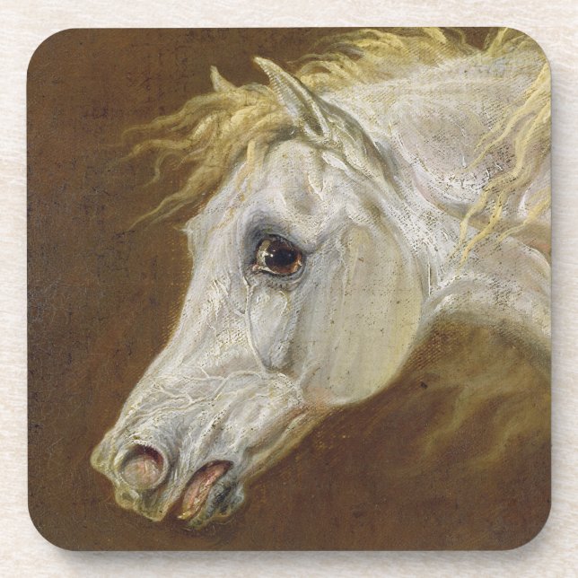 Head of a Grey Arabian Horse (oil on canvas on pan Coaster (Front)