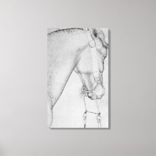 Head of a horse, from the The Vallardi Album Canvas Print