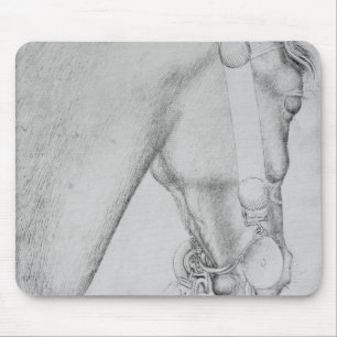 Head of a horse, from the The Vallardi Album Mouse Pad