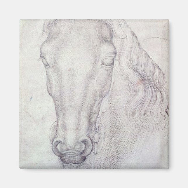 Head of a Horse Magnet (Front)