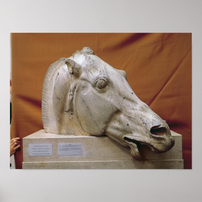 Head of a Horse of Selene Poster (Front)
