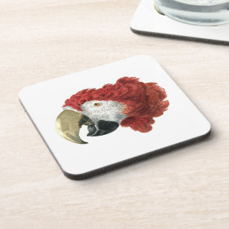 Head of a Macaw (1725–1792) Aert Schouman Coaster