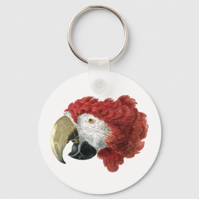 Head of a Macaw (1725–1792) Aert Schouman Key Ring (Back)