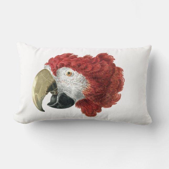 Head of a Macaw (1725–1792) Aert Schouman Lumbar Cushion (Front)