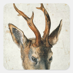Head of a Roe Deer Square Sticker