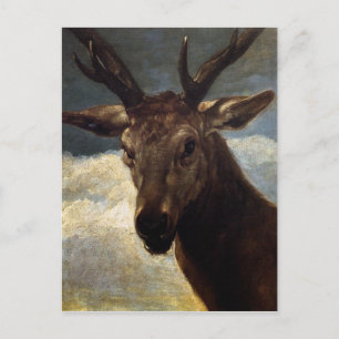 Head of a Stag by Diego Velazquez Postcard