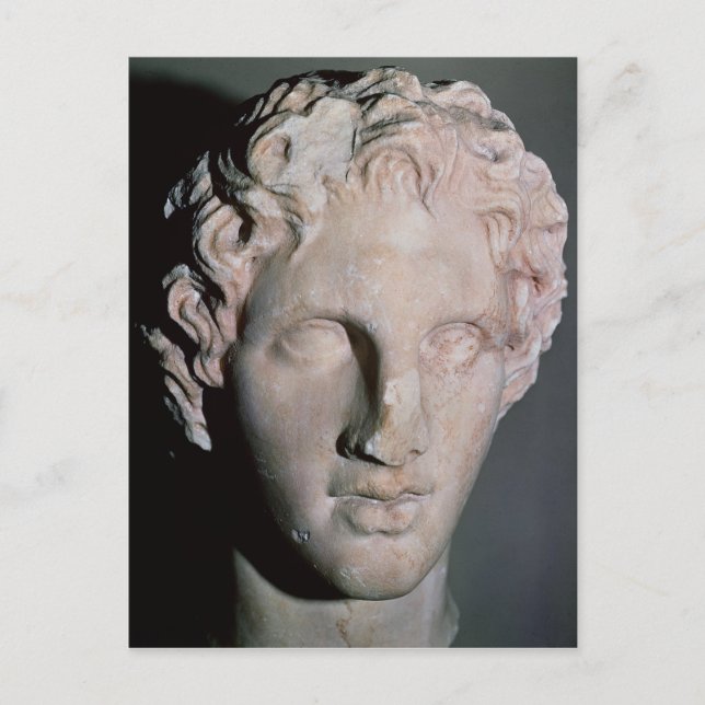 Head of Alexander the Great Postcard (Front)