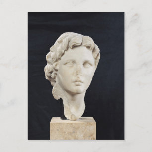 Head of Alexander the Great Postcard
