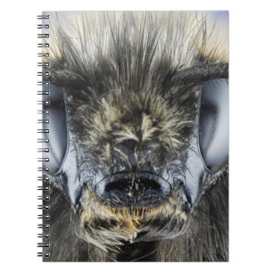 Head of bumblebee spiral notebook