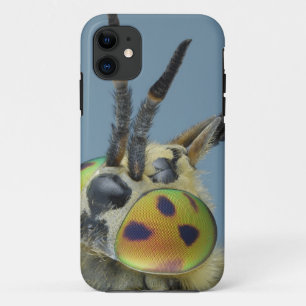 Head of deer fly iPhone 11 case