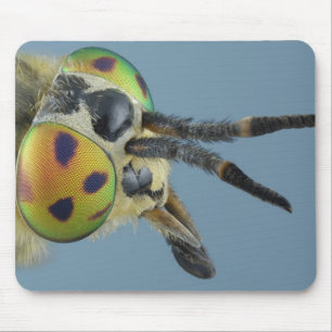 Head of deer fly mouse pad