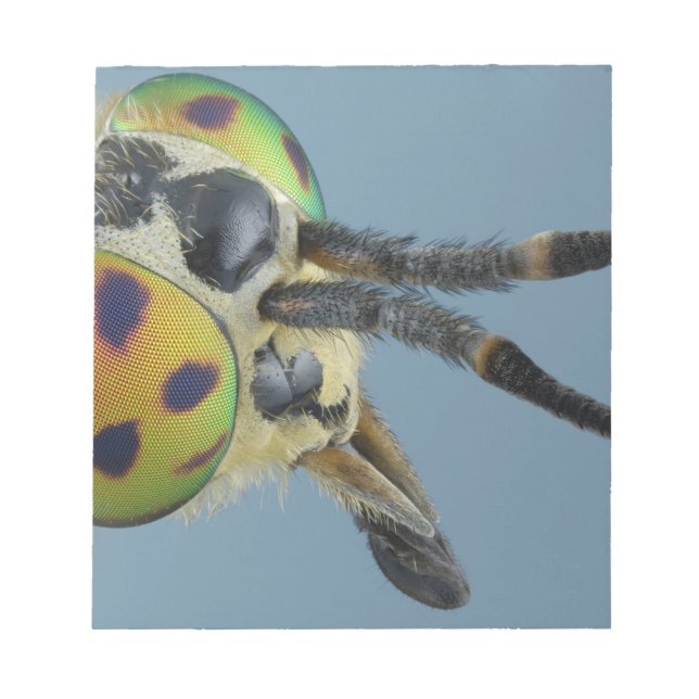 Head of deer fly notepad (Front)