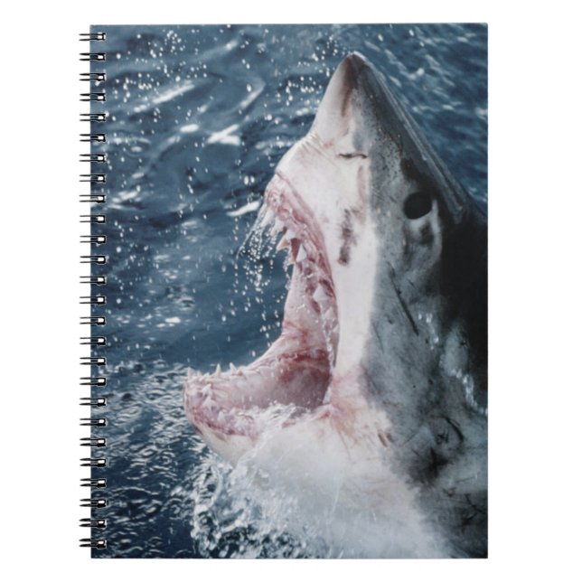 Head of Great White Shark Spiral Notebook (Front)
