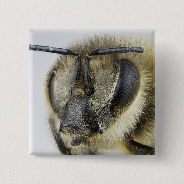 Head of honeybee 15 cm square badge (Front)