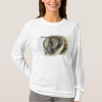 Head of honeybee