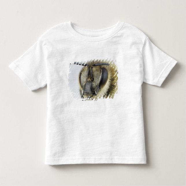 Head of honeybee toddler T-Shirt (Front)