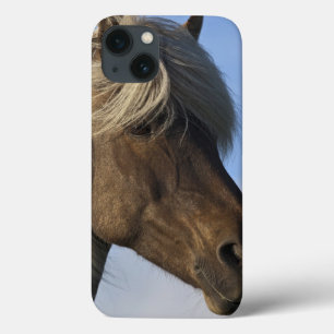 Head of Icelandic horse, Iceland iPhone 13 Case