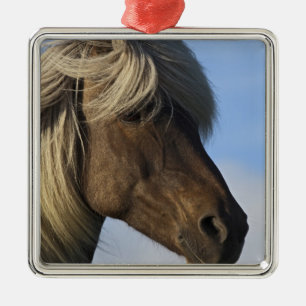 Head of Icelandic horse, Iceland Metal Tree Decoration
