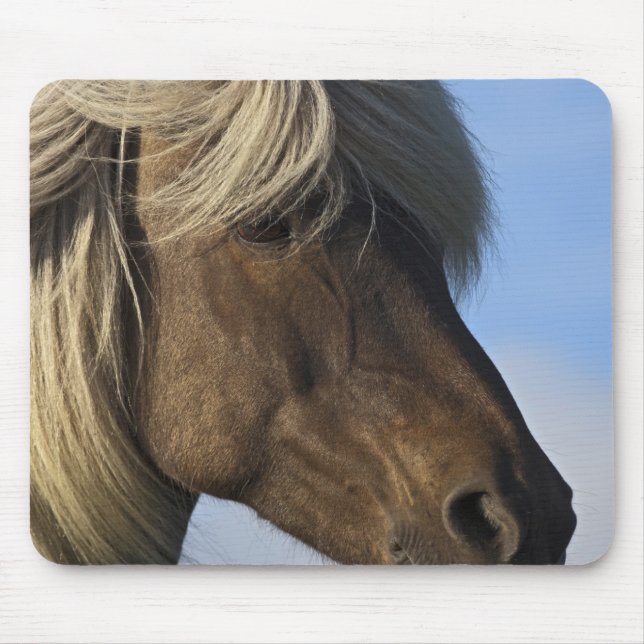 Head of Icelandic horse, Iceland Mouse Pad (Front)
