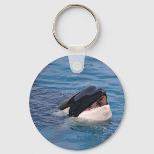 Head of killer whale key ring