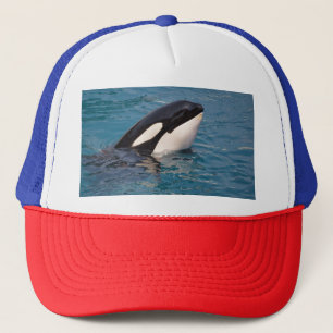 Head of killer whale trucker hat