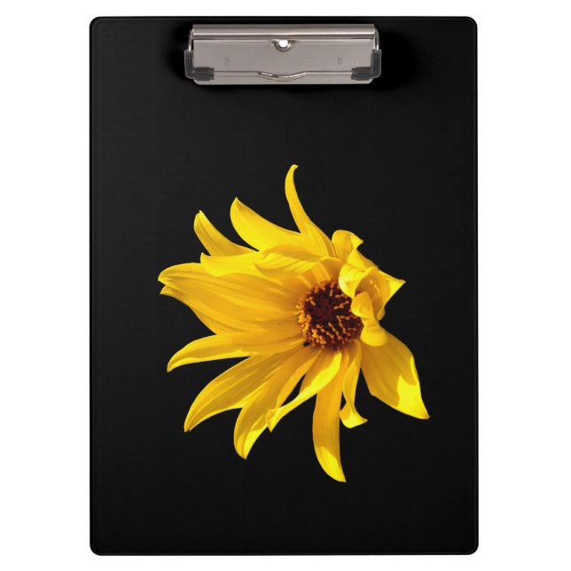 Head of yellow daisy Helenium Clipboard (Front)