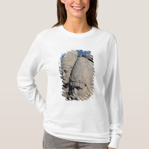 Head of Zeus-Oromandes and a goddess T-Shirt