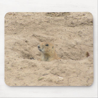 Head Out Of Burrow Mouse Pad