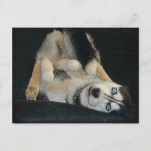 Head Over Heals Postcards