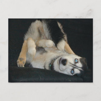 Head Over Heals Postcards