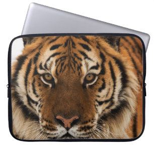 Head Shot of Siberian Tiger Laptop Sleeve