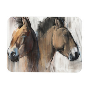 Head Study Magnet