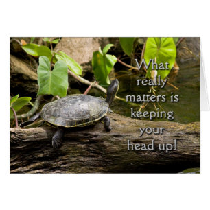 Head Up