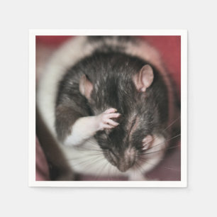 Headache! Napkin